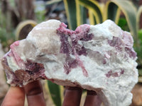 Natural Rubellite Pink Tourmaline Matrix Specimens x 5 From Namibia