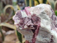 Natural Rubellite Pink Tourmaline Matrix Specimens x 5 From Namibia