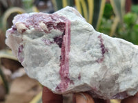 Natural Rubellite Pink Tourmaline Matrix Specimens x 5 From Namibia