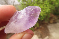 Natural Jacaranda Amethyst Single Crystals x 35 From Zambia