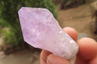 Natural Jacaranda Amethyst Single Crystals x 35 From Zambia