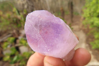 Natural Jacaranda Amethyst Single Crystals x 35 From Zambia