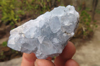 Natural Celestite Specimens x 12 From Sakoany, Madagascar