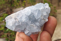 Natural Celestite Specimens x 12 From Sakoany, Madagascar