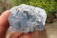 Natural Celestite Specimens x 12 From Sakoany, Madagascar