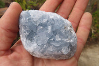 Natural Celestite Specimens x 12 From Sakoany, Madagascar