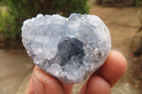 Natural Celestite Specimens x 12 From Sakoany, Madagascar