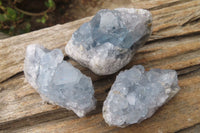 Natural Celestite Specimens x 12 From Sakoany, Madagascar