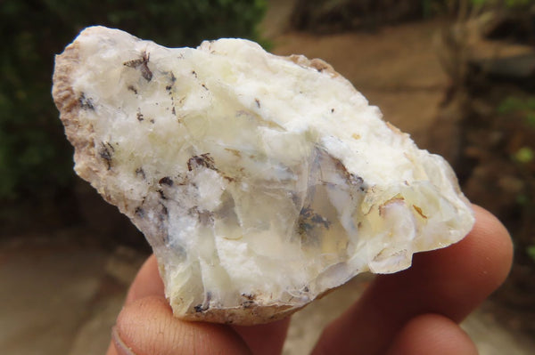 Natural Dendritic Opal Cobbed Specimens x 35 From Namibia