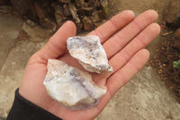 Natural Dendritic Opal Cobbed Specimens x 35 From Namibia