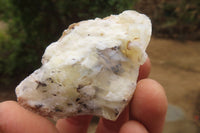 Natural Dendritic Opal Cobbed Specimens x 35 From Namibia