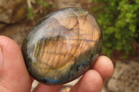 Polished Labradorite Galet / Palm Stones x 12 From Tulear, Madagascar