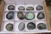 Polished Labradorite Galet / Palm Stones x 12 From Tulear, Madagascar