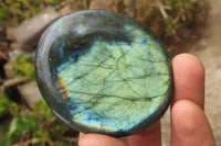 Polished Labradorite Galet / Palm Stones x 12 From Tulear, Madagascar