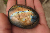 Polished Labradorite Galet / Palm Stones x 12 From Tulear, Madagascar