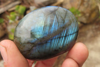 Polished Labradorite Galet / Palm Stones x 12 From Tulear, Madagascar