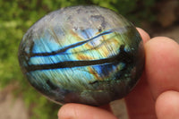 Polished Labradorite Galet / Palm Stones x 12 From Tulear, Madagascar