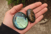 Polished Labradorite Galet / Palm Stones x 12 From Tulear, Madagascar