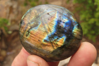 Polished Labradorite Galet / Palm Stones x 12 From Tulear, Madagascar