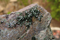 Natural Libethenite Crystals On Dolomite Matrix Specimens x 2 From Congo