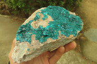 Natural Emerald Dioptase Specimen x 1 From Tantara, Congo