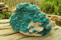 Natural Emerald Dioptase Specimen x 1 From Tantara, Congo