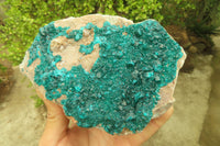 Natural Emerald Dioptase Specimen x 1 From Tantara, Congo