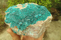 Natural Emerald Dioptase Specimen x 1 From Tantara, Congo