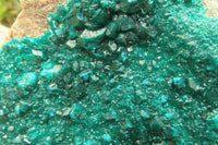 Natural Emerald Dioptase Specimen x 1 From Tantara, Congo