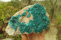 Natural Emerald Dioptase Specimen x 1 From Tantara, Congo