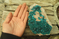 Natural Emerald Dioptase Specimen x 1 From Tantara, Congo