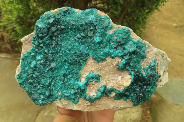 Natural Emerald Dioptase Specimen x 1 From Tantara, Congo