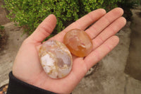 Polished Ocean Flower Agate Galet / Palm Stones x 21 From Madagascar