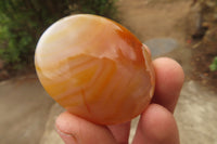 Polished Ocean Flower Agate Galet / Palm Stones x 21 From Madagascar