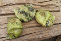 Polished Leopard Stone Cat Face Carvings x 6 From Zimbabwe