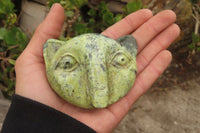 Polished Leopard Stone Cat Face Carvings x 6 From Zimbabwe