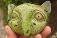 Polished Leopard Stone Cat Face Carvings x 6 From Zimbabwe