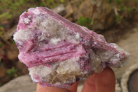 Natural Rubellite Pink Tourmaline Matrix Specimens x 12 From Namibia