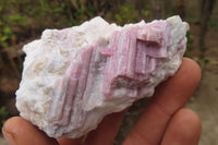 Natural Rubellite Pink Tourmaline Matrix Specimens x 12 From Namibia