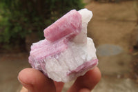 Natural Rubellite Pink Tourmaline Matrix Specimens x 12 From Namibia