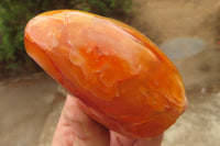 Polished Carnelian Standing Free Forms x 4 From Madagascar