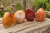 Polished Carnelian Standing Free Forms x 4 From Madagascar