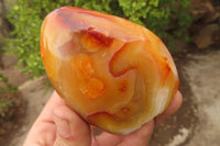 Polished Carnelian Standing Free Forms x 4 From Madagascar