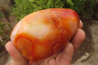 Polished Carnelian Standing Free Forms x 4 From Madagascar