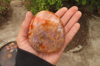 Polished Carnelian Standing Free Forms x 4 From Madagascar