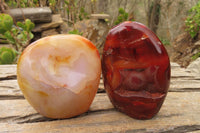 Polished Carnelian Standing Free Forms x 4 From Madagascar