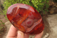 Polished Carnelian Standing Free Forms x 4 From Madagascar