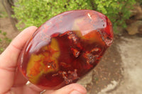 Polished Carnelian Standing Free Forms x 4 From Madagascar