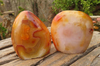 Polished Carnelian Standing Free Forms x 4 From Madagascar