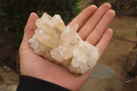 Natural Mixed Quartz Clusters x 4 From Madagascar